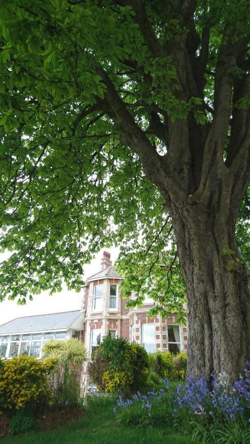 Summerhill Hotel Paignton Buitenkant foto
